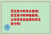 灵芝孢子粉生长基地(灵芝孢子粉种植基地，让你享有高品质的灵芝孢子粉)