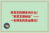 采灵芝的博主叫什么(“采灵芝探秘谷”——一名博主的走山路记)