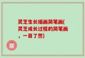 灵芝生长插画简笔画(灵芝成长过程的简笔画，一目了然)