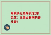 用镜头记录采灵芝(采灵芝：记录山林间的奋斗者)