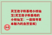 灵芝孢子粉基地小桥仙芝(灵芝孢子粉基地的小桥仙芝：一座探寻草本魅力的自然宝库)