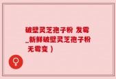 破壁灵芝孢子粉 发霉_新鲜破壁灵芝孢子粉 无霉变 )