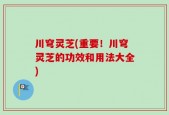 川穹灵芝(重要！川穹灵芝的功效和用法大全)