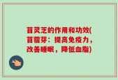 苜灵芝的作用和功效(苜蓿芽：提高免疫力，改善睡眠，降低血脂)