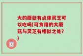 大的蘑菇有点像灵芝可以吃吗(可食用的大蘑菇与灵芝有相似之处？)