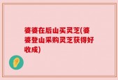 婆婆在后山买灵芝(婆婆登山采购灵芝获得好收成)