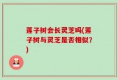 莲子树会长灵芝吗(莲子树与灵芝是否相似？)