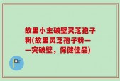 故里小主破壁灵芝孢子粉(故里灵芝孢子粉——突破壁，保健佳品)