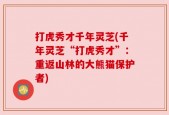 打虎秀才千年灵芝(千年灵芝“打虎秀才”：重返山林的大熊猫保护者)