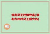 渭南灵芝种植致富(渭南农民种灵芝赚大钱)