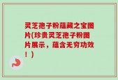 灵芝孢子粉蕴藏之宝图片(珍贵灵芝孢子粉图片展示，蕴含无穷功效！)