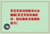 灵芝芡实功效做法大全图解(灵芝芡实完美配对，轻松瘦身又增强免疫力)