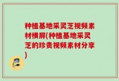 种植基地采灵芝视频素材横屏(种植基地采灵芝的珍贵视频素材分享)