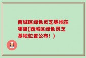 西城区绿色灵芝基地在哪里(西城区绿色灵芝基地位置公布！)