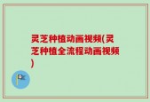 灵芝种植动画视频(灵芝种植全流程动画视频)