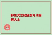 野生灵芝的鉴别方法图解大全
