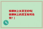 槟榔树上长灵芝好吗(槟榔树上的灵芝有何功效？)