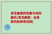灵芝鹿茸的效果与功效图片(灵芝鹿茸：古老草药的神奇功效)