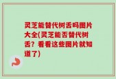 灵芝能替代树舌吗图片大全(灵芝能否替代树舌？看看这些图片就知道了)