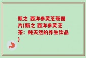 甄之 西洋参灵芝茶图片(甄之 西洋参灵芝茶：纯天然的养生饮品)