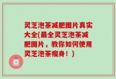 灵芝泡茶减肥图片真实大全(最全灵芝泡茶减肥图片，教你如何使用灵芝泡茶瘦身！)