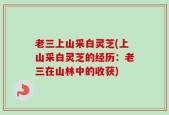 老三上山采白灵芝(上山采白灵芝的经历：老三在山林中的收获)