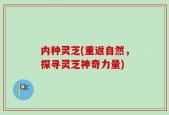 内种灵芝(重返自然，探寻灵芝神奇力量)