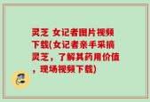 灵芝 女记者图片视频下载(女记者亲手采摘灵芝，了解其药用价值，现场视频下载)