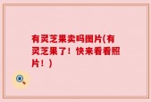 有灵芝果卖吗图片(有灵芝果了！快来看看照片！)