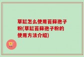 草缸怎么使用苔藓孢子粉(草缸苔藓孢子粉的使用方法介绍)