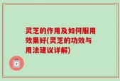 灵芝的作用及如何服用效果好(灵芝的功效与用法建议详解)
