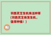 羽西灵芝生机焕活种草(羽西灵芝焕发生机，值得种植！)