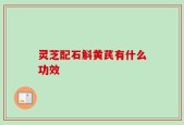 灵芝配石斛黄芪有什么功效