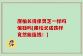 崖柏长得像灵芝一样吗值钱吗(崖柏长成这样竟然能值钱！)