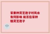 家里种灵芝孢子对风水有何影响 能否在家种植灵芝孢子