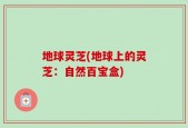 地球灵芝(地球上的灵芝：自然百宝盒)