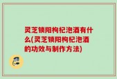 灵芝锁阳枸杞泡酒有什么(灵芝锁阳枸杞泡酒的功效与制作方法)