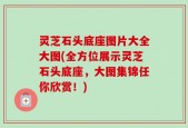 灵芝石头底座图片大全大图(全方位展示灵芝石头底座，大图集锦任你欣赏！)