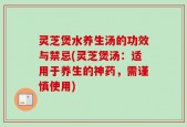 灵芝煲水养生汤的功效与禁忌(灵芝煲汤：适用于养生的神药，需谨慎使用)