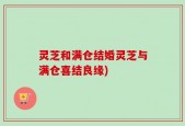 灵芝和满仓结婚灵芝与满仓喜结良缘)