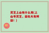 灵芝上山有什么用(上山寻灵芝，益处大有裨益！)