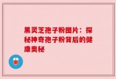 黑灵芝孢子粉图片：探秘神奇孢子粉背后的健康奥秘