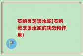石斛灵芝煲水蛇(石斛灵芝煲水蛇的功效和作用)