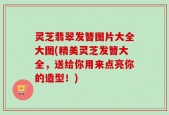 灵芝翡翠发簪图片大全大图(精美灵芝发簪大全，送给你用来点亮你的造型！)