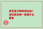 灵芝孢子粉粉和松鼠？玉松鼠古钱一起是什么寓意