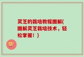 灵芝的栽培教程图解(图解灵芝栽培技术，轻松掌握！)
