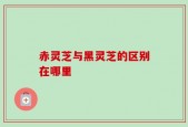 赤灵芝与黑灵芝的区别在哪里