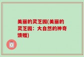 美丽的灵芝园(美丽的灵芝园：大自然的神奇馈赠)