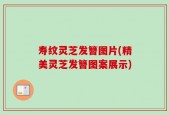 寿纹灵芝发簪图片(精美灵芝发簪图案展示)
