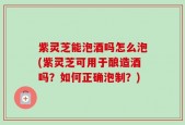 紫灵芝能泡酒吗怎么泡(紫灵芝可用于酿造酒吗？如何正确泡制？)